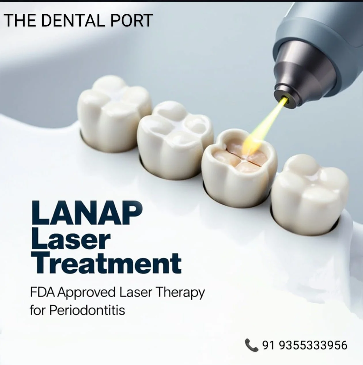 THE DENTAL PORT
